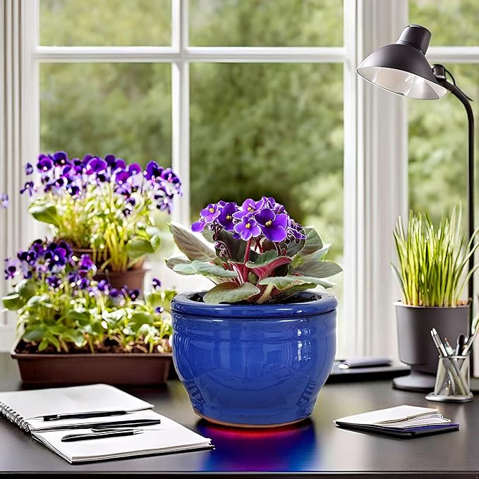 African Violet Pots Self Watering Round Ceramic Violet Pot - Image 5