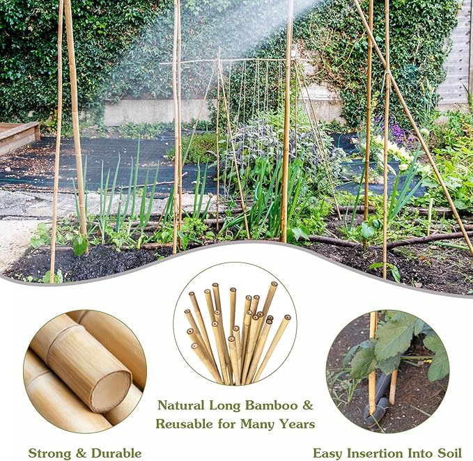 Plant Stakes 4.8FT, Natural Bamboo Stakes, HAINANSTRY 20Pcs Sturdy Bamboo - Image 3