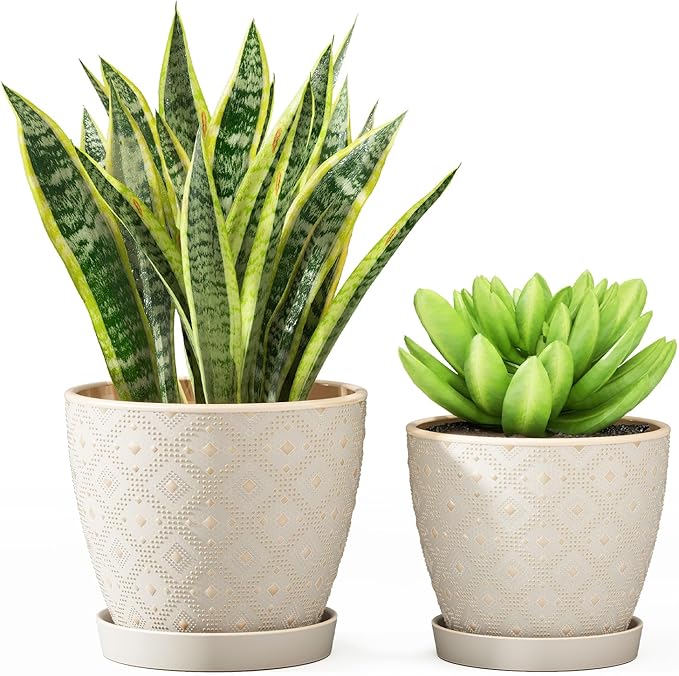 Docrin Ceramic Plant Pots Indoor, 6.6 + 5.5 Inch Planters by DOCRIN