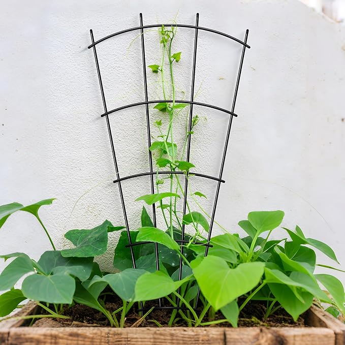 4 Pack 32'' Indoor Plant Trellis - Image 4