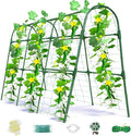 Cucumber Trellis for Raised Bed, U-Shape Garden Arch Metal Support for Climbing by Laodier