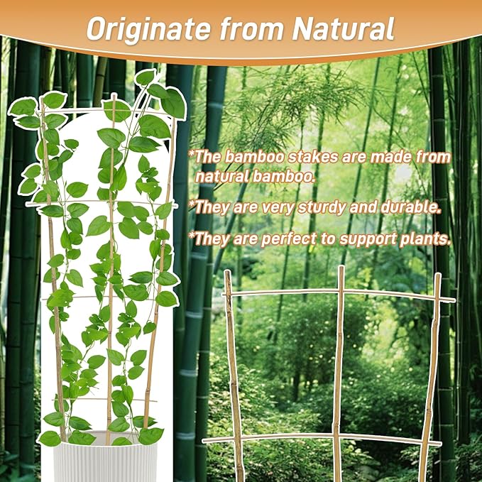 10 Pack 4ft Bamboo Trellis for Climbing Plants - Image 3