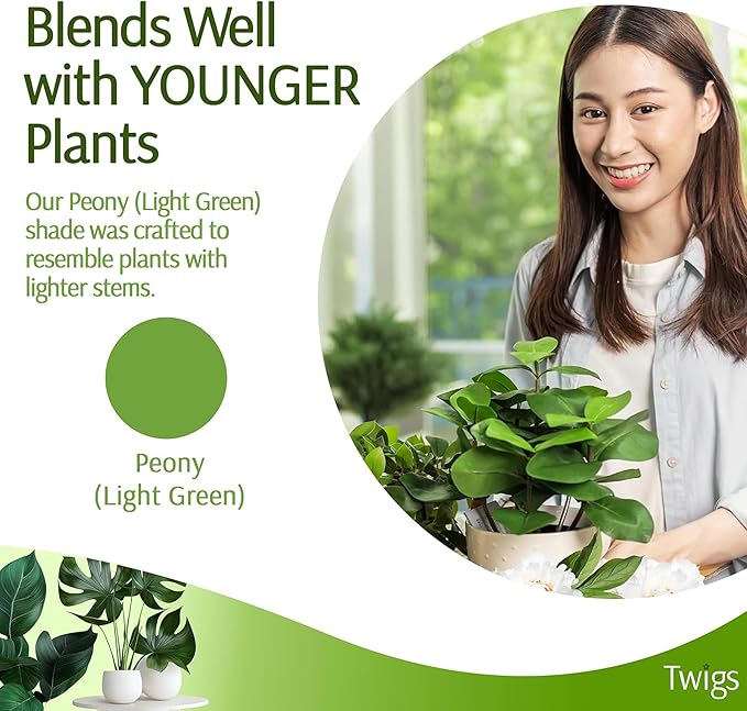 Mini Twigs Plant Support Stakes - Image 4