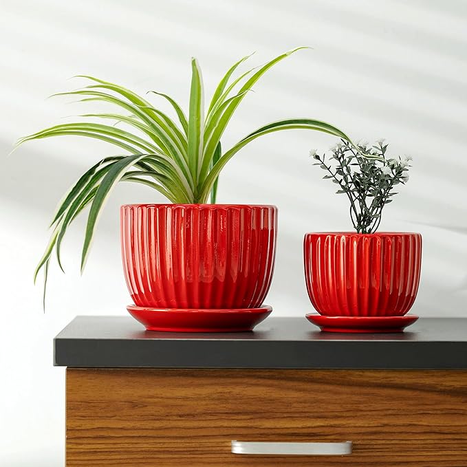 Ton Sin Ceramic Plant Pots - Image 5