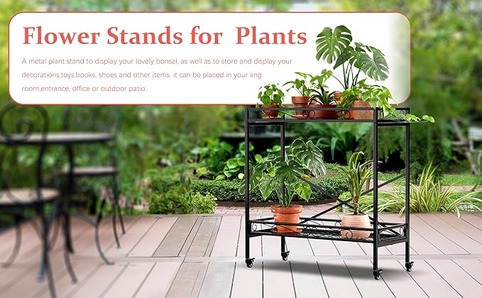 Zhongma 2 Tier Sturdy Metal Plant Stand - Image 4