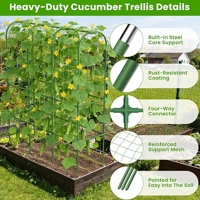2 Pack 65in Tall Cucumber Trellis - Image 2