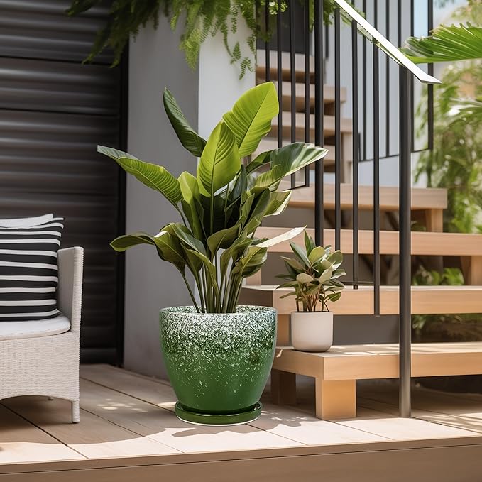 10 Inch Plant Pot - Image 5