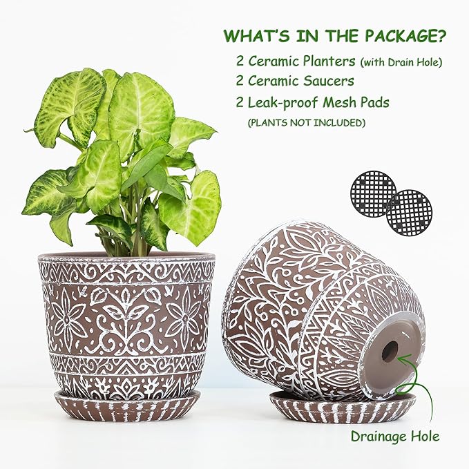 Gepege 6 Inch Ceramic Planter, Plant Pot - Image 2