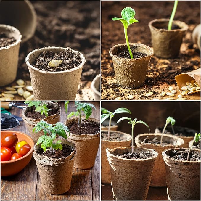 JERIA 50-Pack 3.15 Inch Peat Pots - Image 7