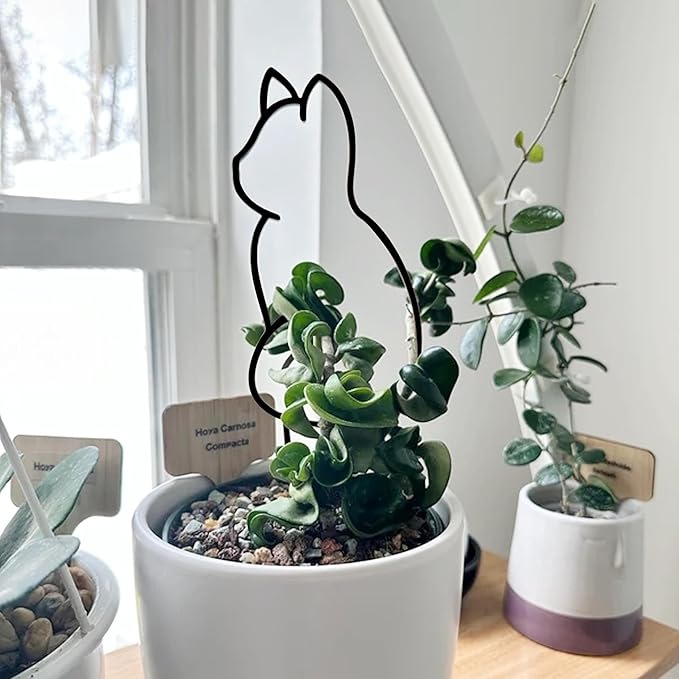Cat-Shaped Small Trellis for Potted Plants, 13 inches Hoya Trellis 2 Pack - Image 3