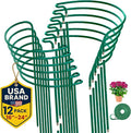 12 Pack Plant Support Stakes – Tall Plant Stakes by K-BRANDS