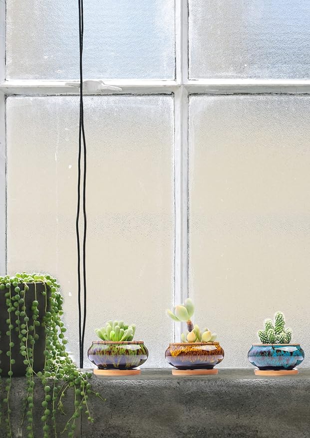 Cute Ceramic Succulent Garden Pots, Planter - Image 3