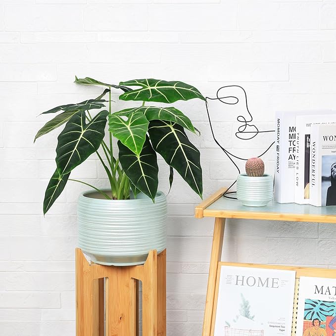 10 Inch Ceramic Plant Pot with Drainage – Large Flower Pot - Image 3