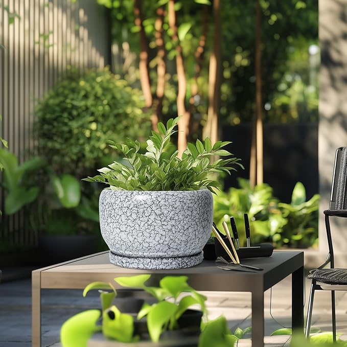 SQOWL Ceramic Planters - Image 5