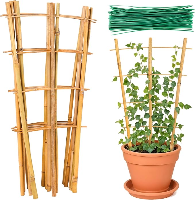 Bamboo Trellis by Sawowkuya