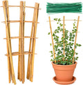 Bamboo Trellis by Sawowkuya