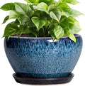 Ceramic Pots for Plants by Ceramicfor