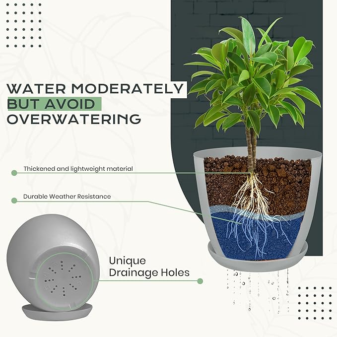 Utopia Home - Plant Pots Indoor - 7/6.6/6/5.3/4.8 Inches Home Decor Flower Pots - Image 4