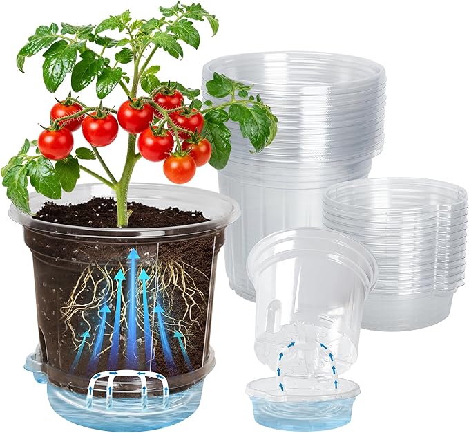 12 Pack 6.5 Inch Clear Self Watering Plant Pots by Bluepro