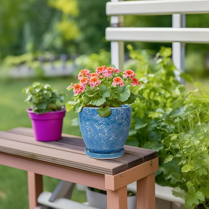6 Inch Ceramic Plant Pot - Image 4