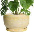 SQOWL Ceramic Planters for Indoor Plants by SQOWL