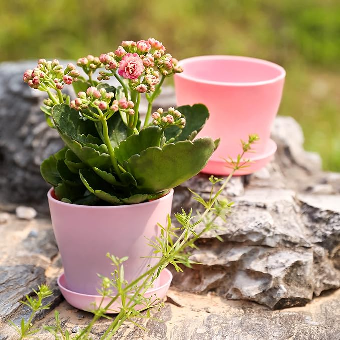 TDHDIKE 10 Pcs Plastic Planters Indoor Flower Plant Pots, Mini Flower Seedlings - Image 4