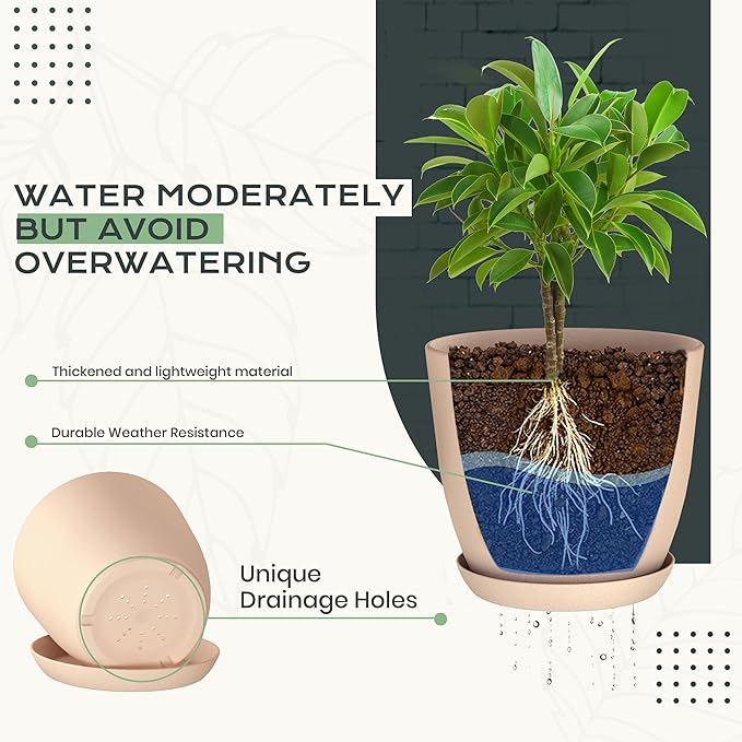 Utopia Home - Plant Pots Indoor - 7/6.6/6/5.3/4.8 Inches Home Decor Flower Pots - Image 3