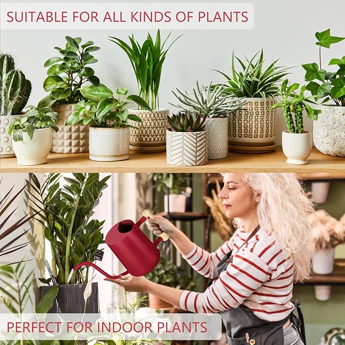 Watering Can Indoor Plants, 35oz Small Stainless Steel Metal Watering Can - Image 5