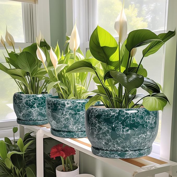 SQOWL 10 Inch Plant Pot - Image 6