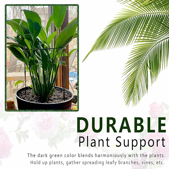 6 Pack Plant Support Stakes, 15.8" Half Round Metal Garden Plant Supports - Image 4