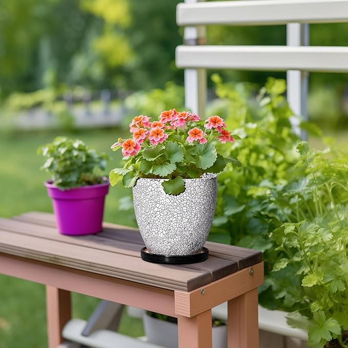 Ceramic Plant Pots - Image 4