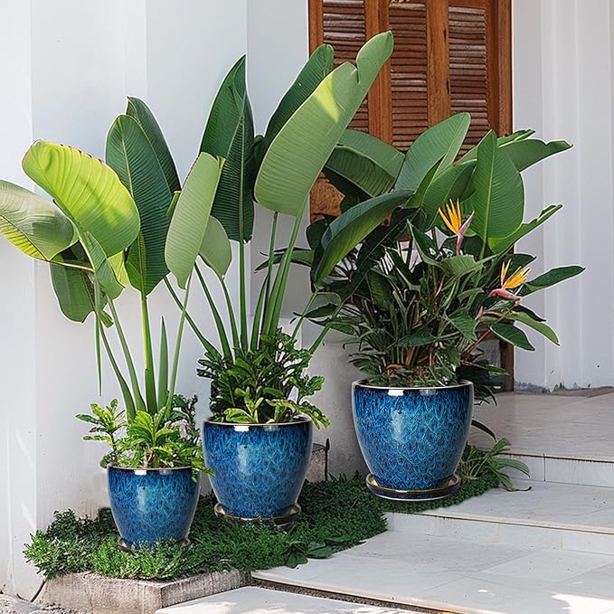 8 Inch Ceramic Planter Pot - Image 7