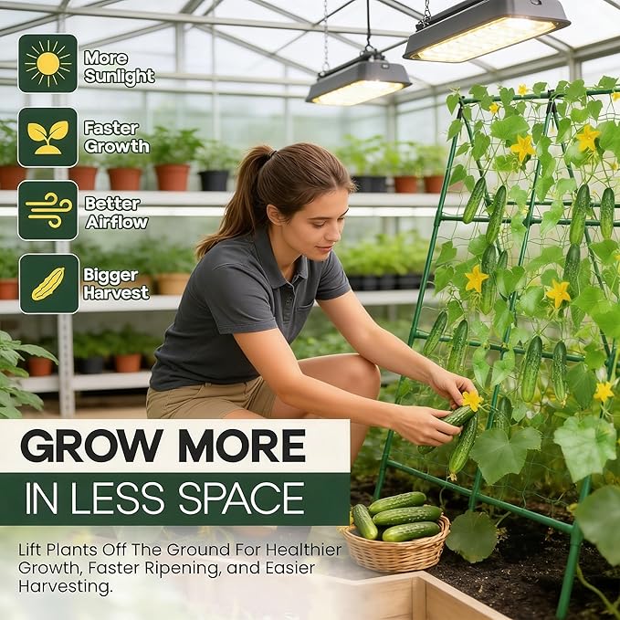 50x50 Cucumber Trellis for Raised Bed - Image 6