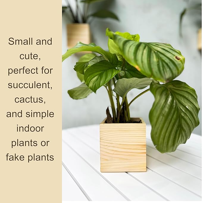 LaLaGreen Wooden Planter Box for Plants Small Square Wall Planters for Indoor - Image 4