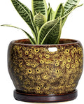 SQOWL 6 Inch Plant Pot by SQOWL
