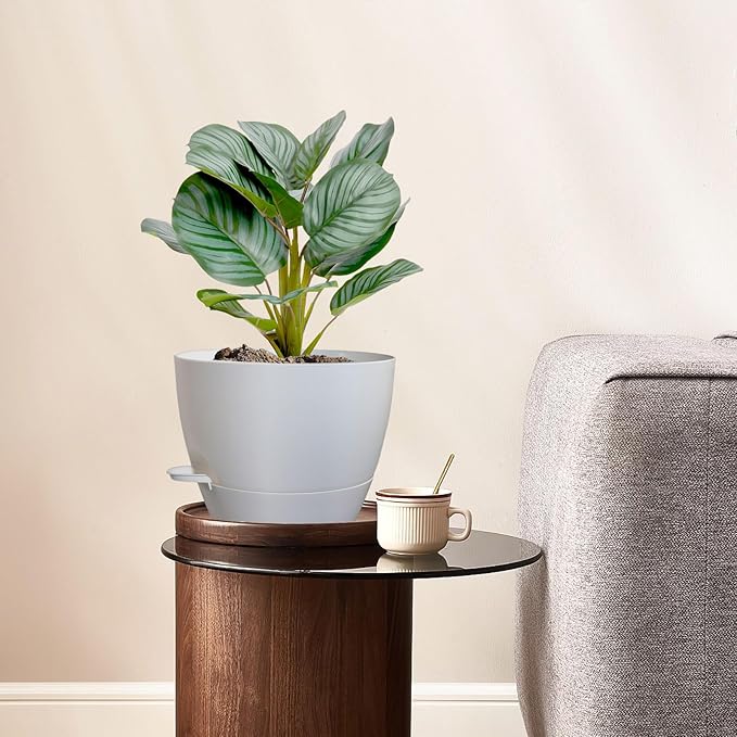 8 inch Self Watering Pots, Plant Pots - Image 2