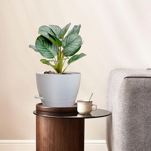 10 inch Self Watering Pots, 2 Pack Plastic Planters - Image 2