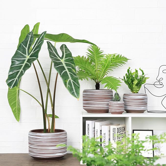 10 Inch Ceramic Plant Pot with Drainage – Large Flower Pot - Image 3