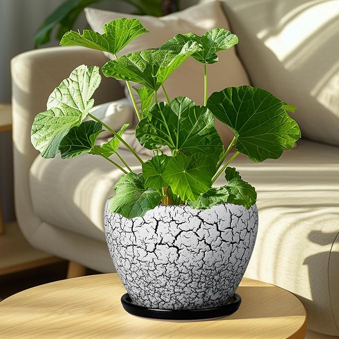 Ceramic Plant Pot 8 Inch - Image 2