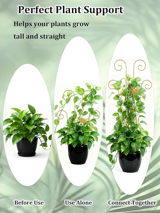 2 Pcs Tall Trellis for Potted Plants, Plant Pothos Climber Support for Monstera - Image 5