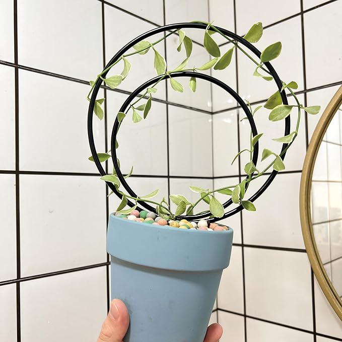 Mirthdino Premium Hoya Trellis - Image 4