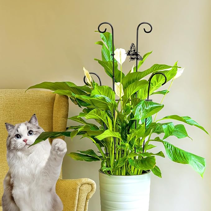 23in Plant Trellis Indoor, Trellis - Image 9