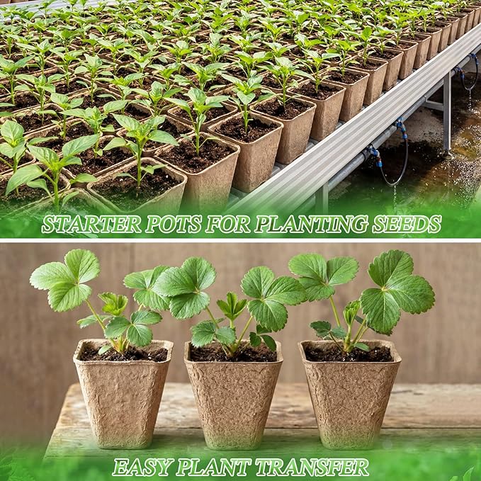 120 Pcs Square Peat Pots for Seedlings - Image 5