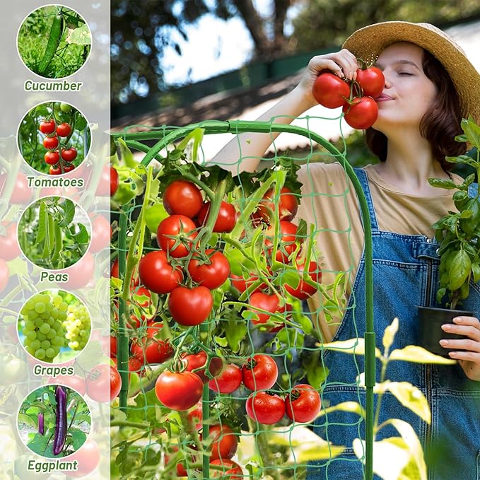U-Shape Cucumber Trellis with Fabric Raised Garden Bed 65x50 Inch Metal Garden - Image 8