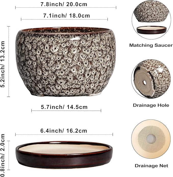 SQOWL Ceramic Planter - Image 3