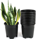 4.5 Inch Nursery Pot Plastic Planters by CottaPlanters