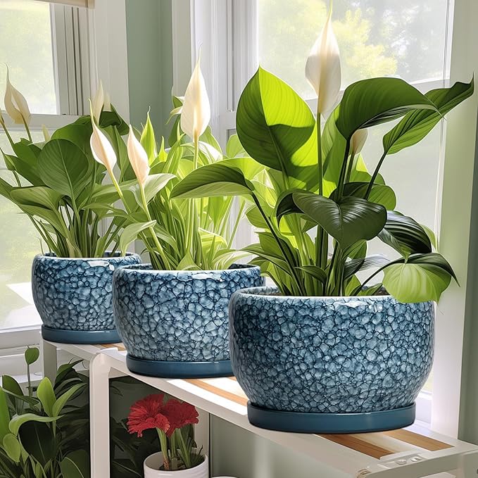 SQOWL 8 inch Plant Pot - Image 6