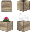 CYS EXCEL Cube Planter Box by CYSEXCEL%C2%AE
