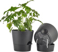 FaithLand 2-Pack 10 Inch Planter Pots by FaithLand