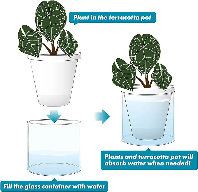 D'vine Dev 6 Inch Design Self Watering Planter - Image 6